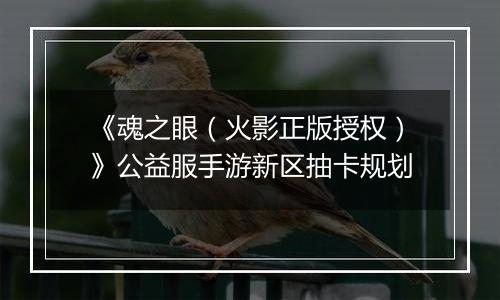 《魂之眼（火影正版授权）》公益服手游新区抽卡规划