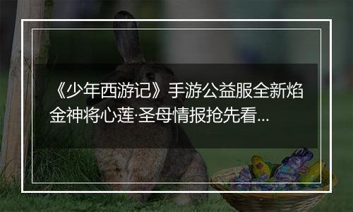 《少年西游记》手游公益服全新焰金神将心莲·圣母情报抢先看！