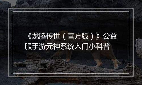《龙腾传世（官方版）》公益服手游元神系统入门小科普