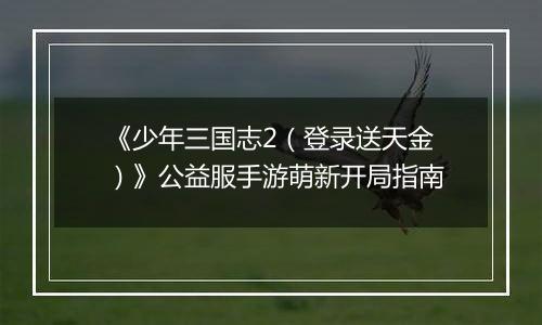 《少年三国志2（登录送天金）》公益服手游萌新开局指南