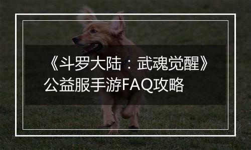 《斗罗大陆：武魂觉醒》公益服手游FAQ攻略