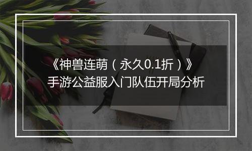 《神兽连萌（永久0.1折）》手游公益服入门队伍开局分析