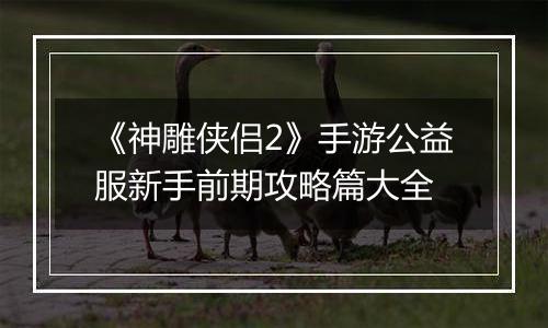 《神雕侠侣2》手游公益服新手前期攻略篇大全