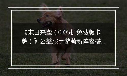 《末日来袭（0.05折免费版卡牌）》公益服手游萌新阵容搭配思路