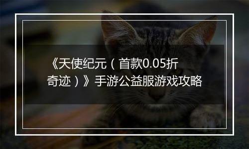 《天使纪元（首款0.05折奇迹）》手游公益服游戏攻略