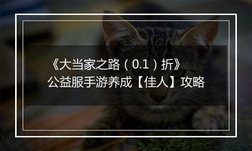 《大当家之路（0.1）折》公益服手游养成【佳人】攻略