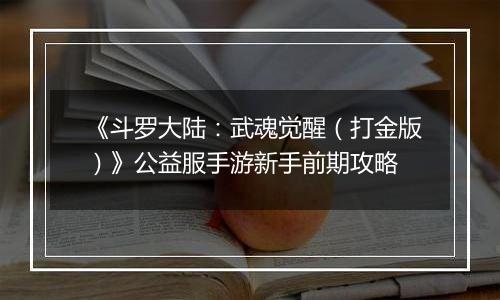 《斗罗大陆：武魂觉醒（打金版）》公益服手游新手前期攻略