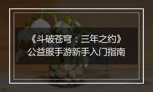 《斗破苍穹：三年之约》公益服手游新手入门指南