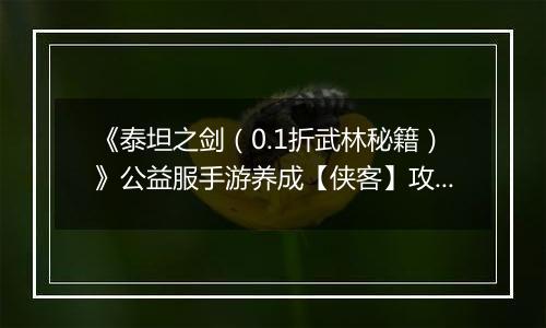 《泰坦之剑（0.1折武林秘籍）》公益服手游养成【侠客】攻略