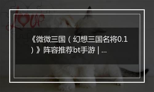 《微微三国（幻想三国名将0.1）》阵容推荐bt手游 | 新手实用阵容