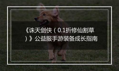 《诛天剑侠（0.1折修仙割草）》公益服手游装备成长指南