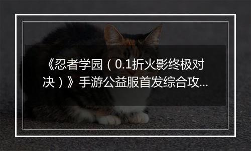 《忍者学园（0.1折火影终极对决）》手游公益服首发综合攻略