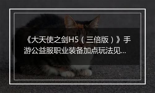 《大天使之剑H5（三倍版）》手游公益服职业装备加点玩法见解