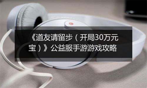《道友请留步（开局30万元宝）》公益服手游游戏攻略