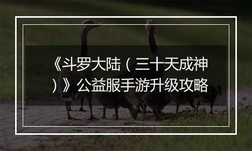《斗罗大陆（三十天成神）》公益服手游升级攻略