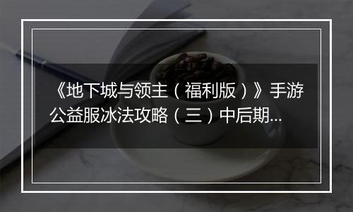 《地下城与领主（福利版）》手游公益服冰法攻略（三）中后期技能搭配