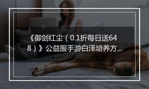 《御剑红尘（0.1折每日送648）》公益服手游白泽培养方案