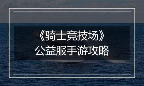 《骑士竞技场》公益服手游攻略