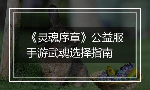 《灵魂序章》公益服手游武魂选择指南