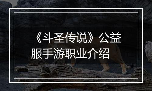 《斗圣传说》公益服手游职业介绍
