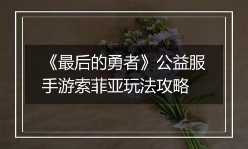 《最后的勇者》公益服手游索菲亚玩法攻略