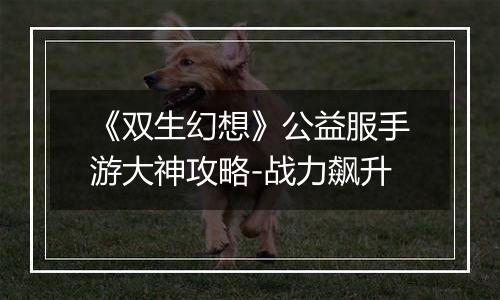《双生幻想》公益服手游大神攻略-战力飙升