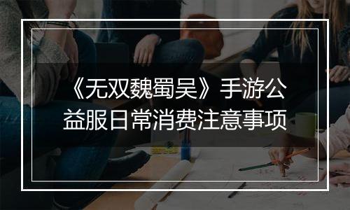 《无双魏蜀吴》手游公益服日常消费注意事项