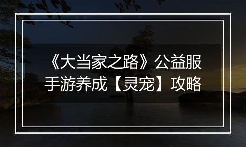 《大当家之路》公益服手游养成【灵宠】攻略
