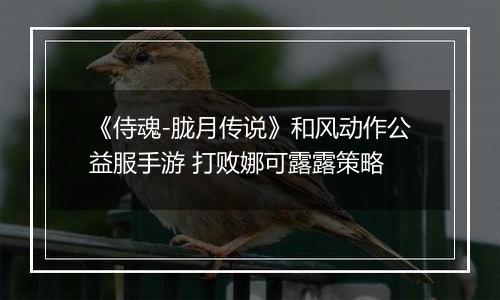 《侍魂-胧月传说》和风动作公益服手游 打败娜可露露策略