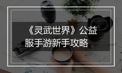 《灵武世界》公益服手游新手攻略