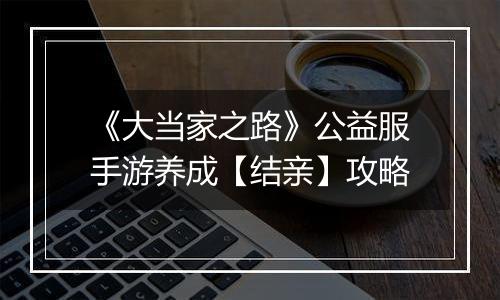 《大当家之路》公益服手游养成【结亲】攻略