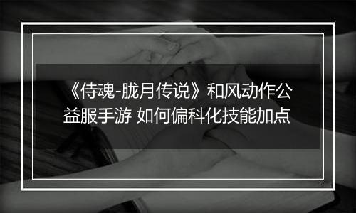 《侍魂-胧月传说》和风动作公益服手游 如何偏科化技能加点