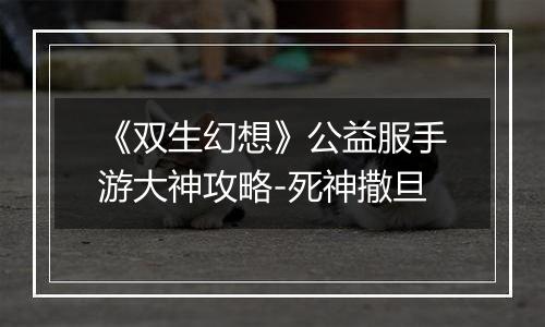 《双生幻想》公益服手游大神攻略-死神撒旦