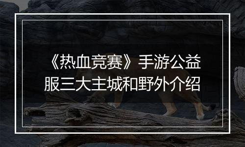 《热血竞赛》手游公益服三大主城和野外介绍