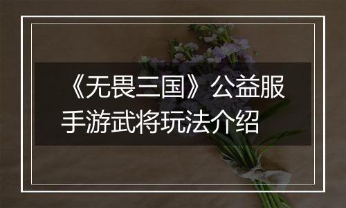 《无畏三国》公益服手游武将玩法介绍