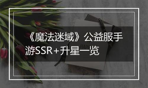 《魔法迷域》公益服手游SSR+升星一览