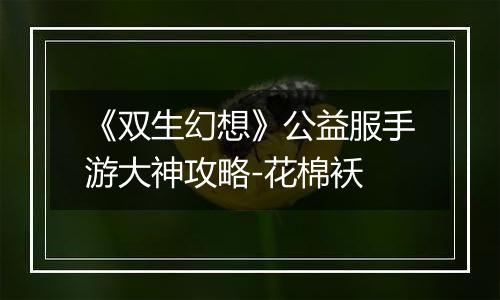 《双生幻想》公益服手游大神攻略-花棉袄