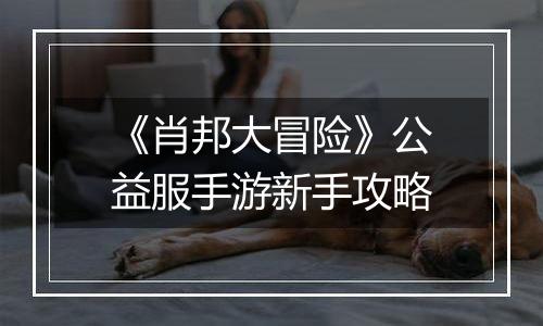 《肖邦大冒险》公益服手游新手攻略