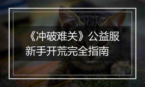 《冲破难关》公益服新手开荒完全指南