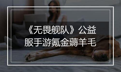 《无畏舰队》公益服手游氪金薅羊毛