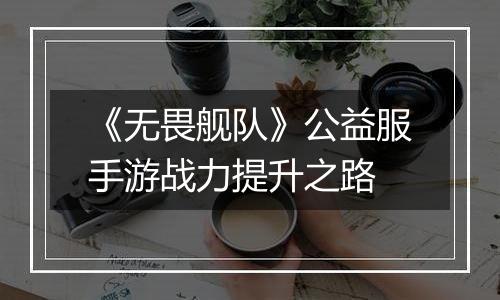 《无畏舰队》公益服手游战力提升之路