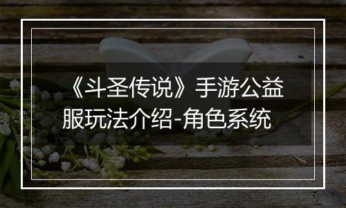 《斗圣传说》手游公益服玩法介绍-角色系统