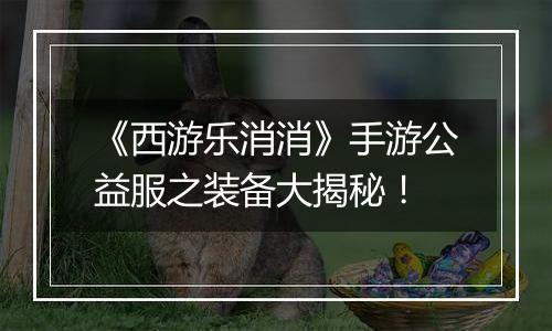 《西游乐消消》手游公益服之装备大揭秘！