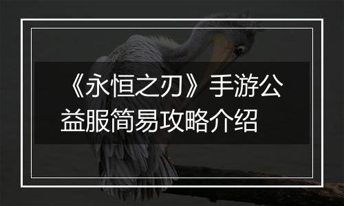 《永恒之刃》手游公益服简易攻略介绍