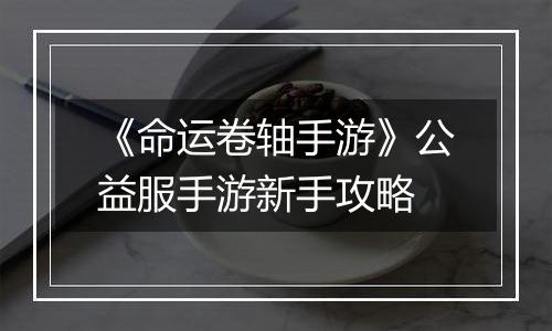 《命运卷轴手游》公益服手游新手攻略