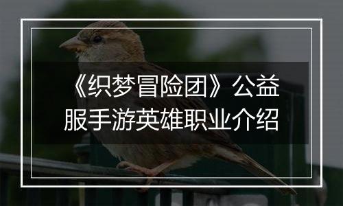 《织梦冒险团》公益服手游英雄职业介绍