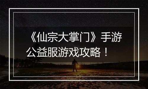 《仙宗大掌门》手游公益服游戏攻略！