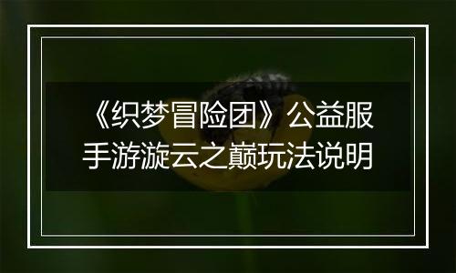 《织梦冒险团》公益服手游漩云之巅玩法说明