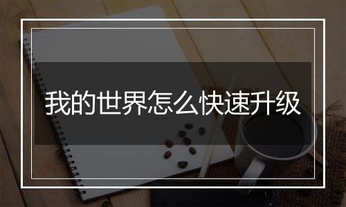 我的世界怎么快速升级