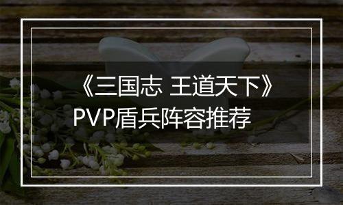 《三国志 王道天下》PVP盾兵阵容推荐